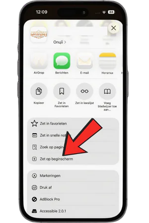 Safari deelmenu met Zet op beginscherm voor Chicken Road app