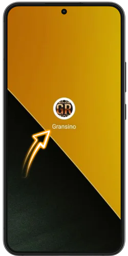 Gransino pictogram op Android-startscherm voor de Chicken Road app