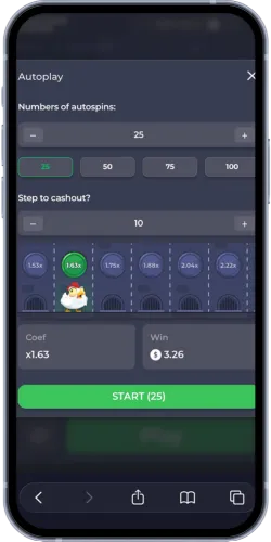 Autoplay modus in de Chicken Road demo